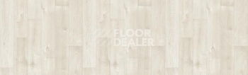 Линолеум Tarkett Bonus DUART 1 фото 1 | FLOORDEALER